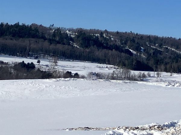 TBD Pine Creek Roads, Norway Twp, MI 49892