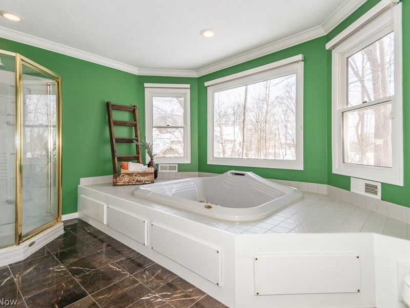 11241 Stanley Lane, Twinsburg, OH 44087 Photo 27