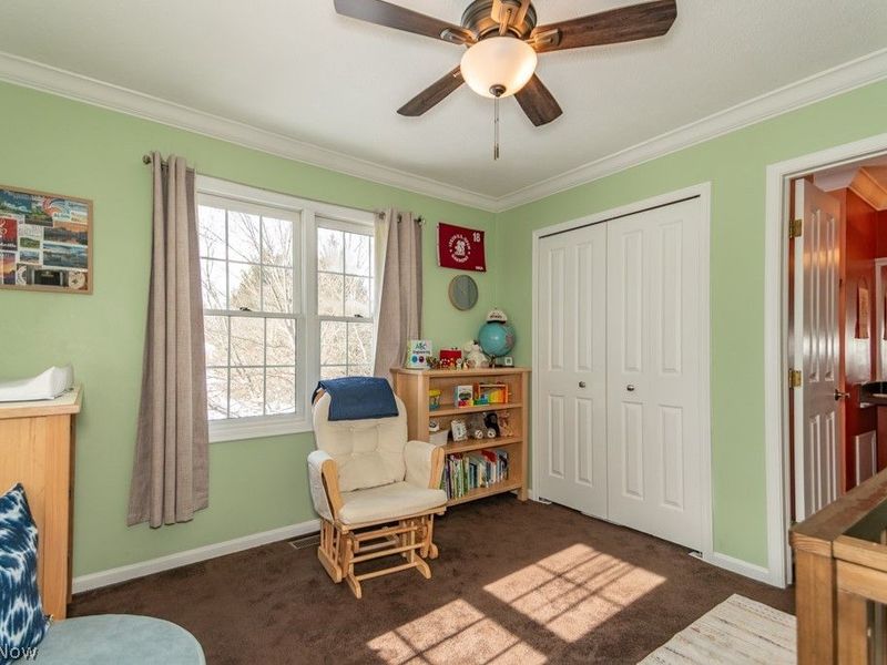 11241 Stanley Lane, Twinsburg, OH 44087 Photo 34