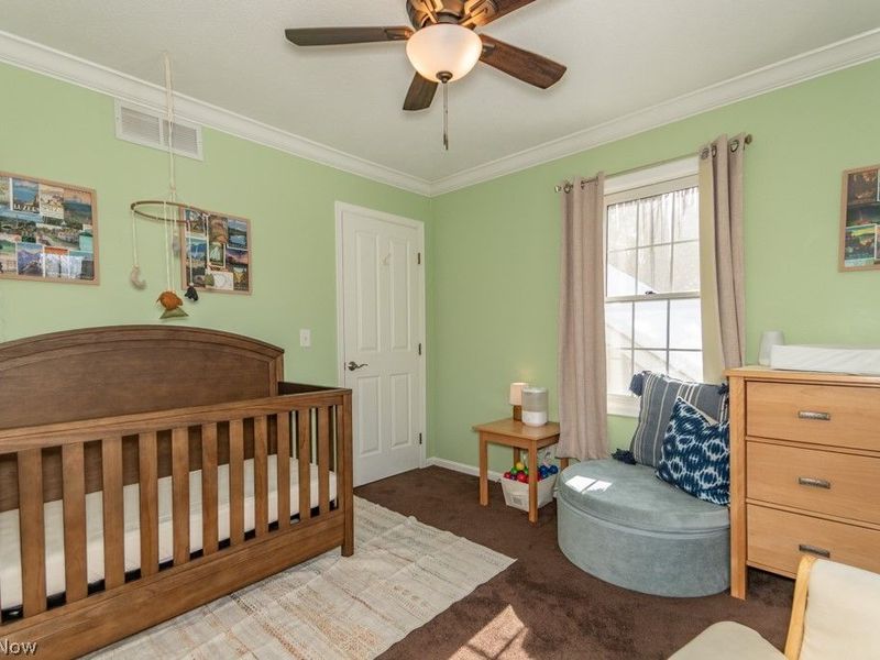 11241 Stanley Lane, Twinsburg, OH 44087 Photo 35