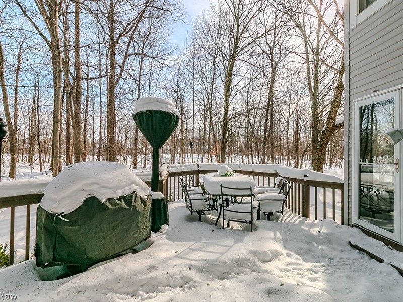 11241 Stanley Lane, Twinsburg, OH 44087 Photo 37