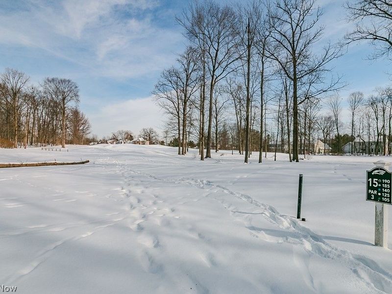 11241 Stanley Lane, Twinsburg, OH 44087 Photo 39