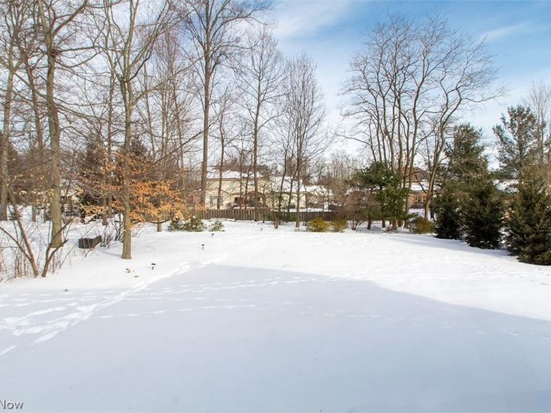 1237 Willow Bend Drive, Medina, OH 44256 Photo 42