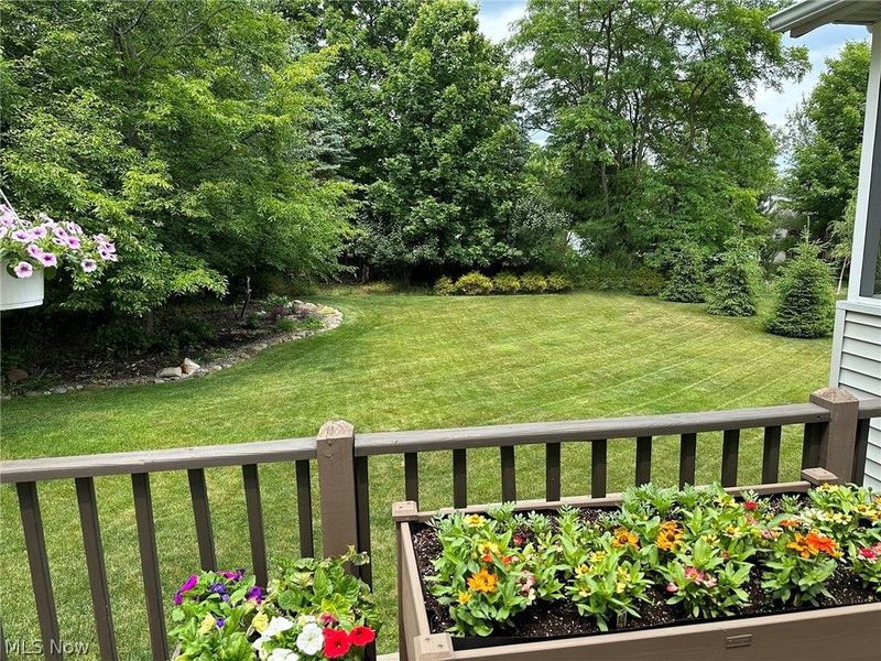 1237 Willow Bend Drive, Medina, OH 44256 Photo 44