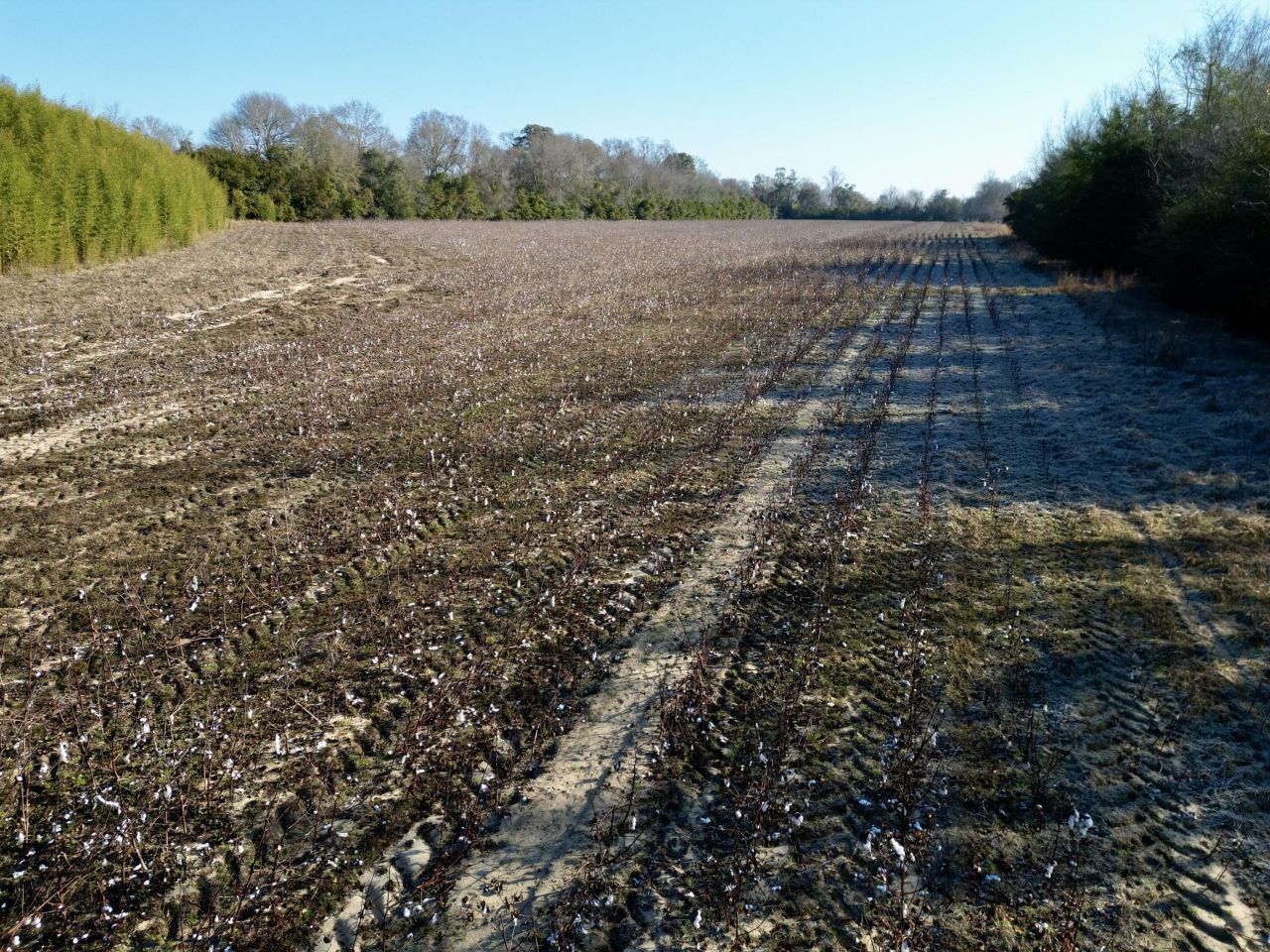 00 Barnwell St Photo 11