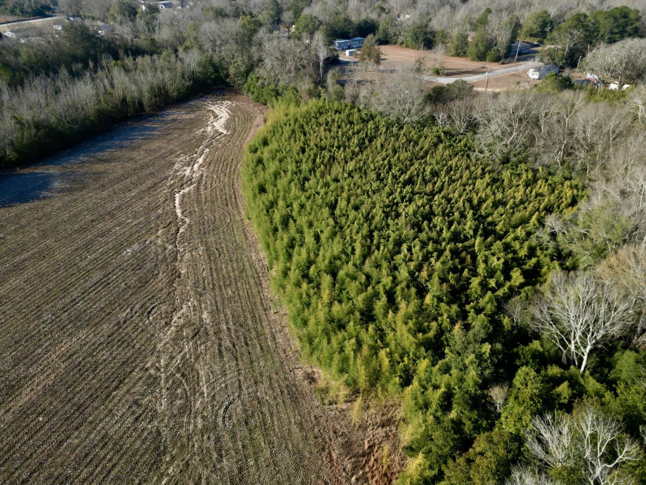 00 Barnwell St Photo 12