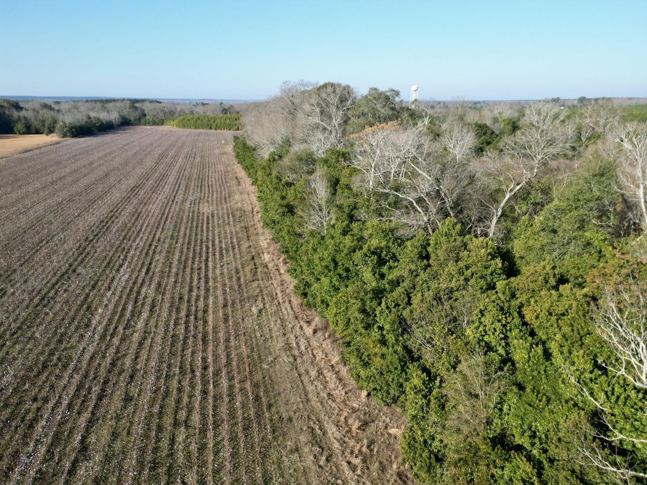 00 Barnwell St Photo 14