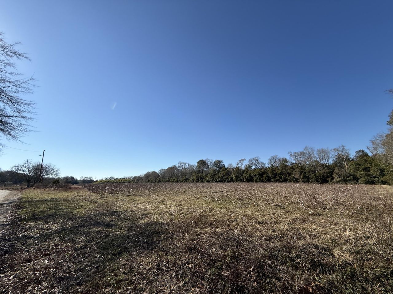 00 Barnwell St Photo 16