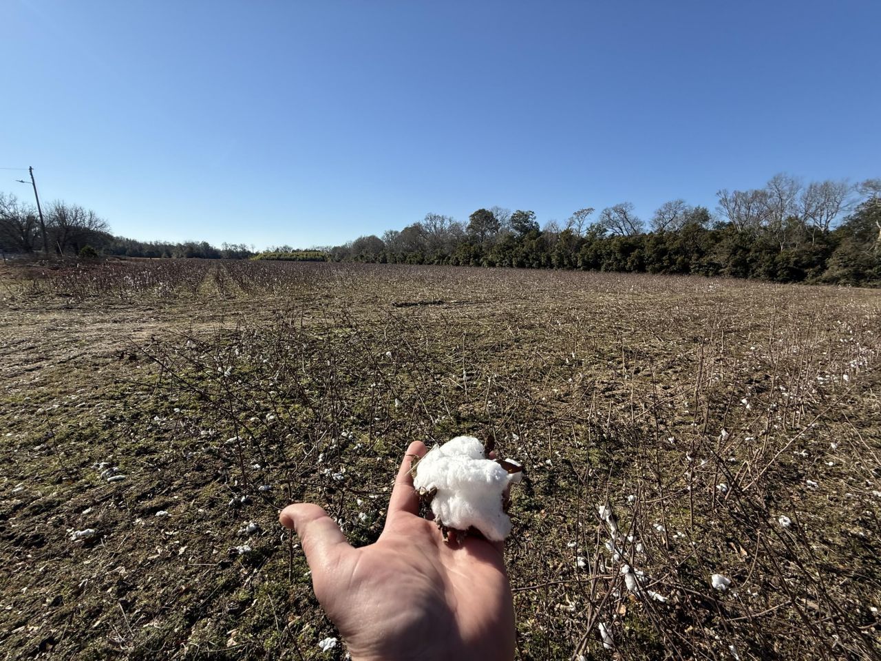 00 Barnwell St Photo 17