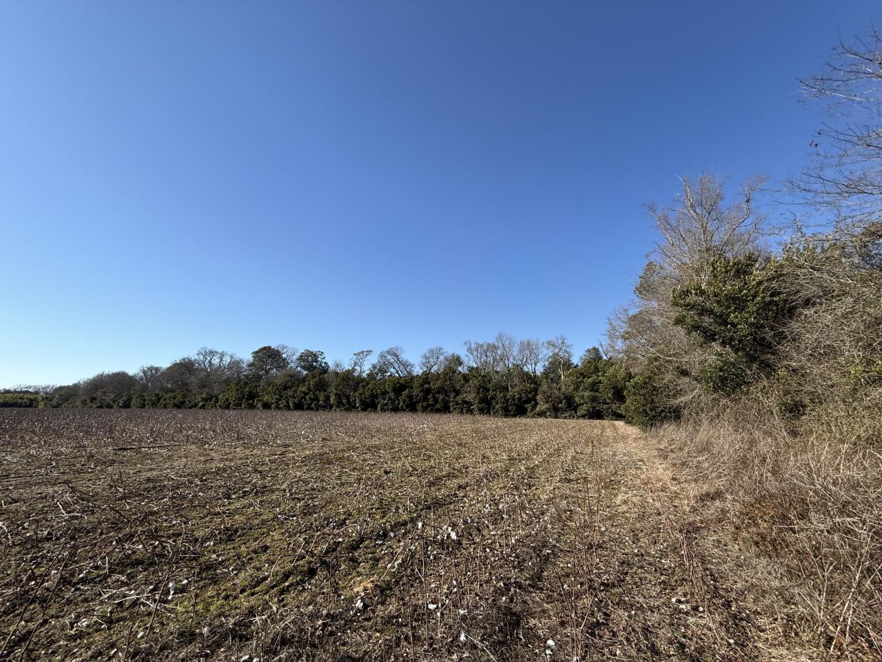 00 Barnwell St Photo 18