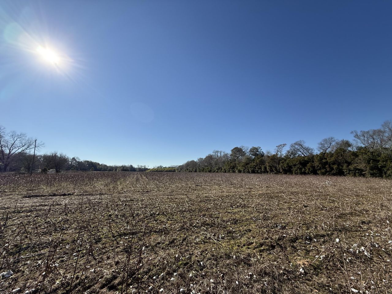 00 Barnwell St Photo 19