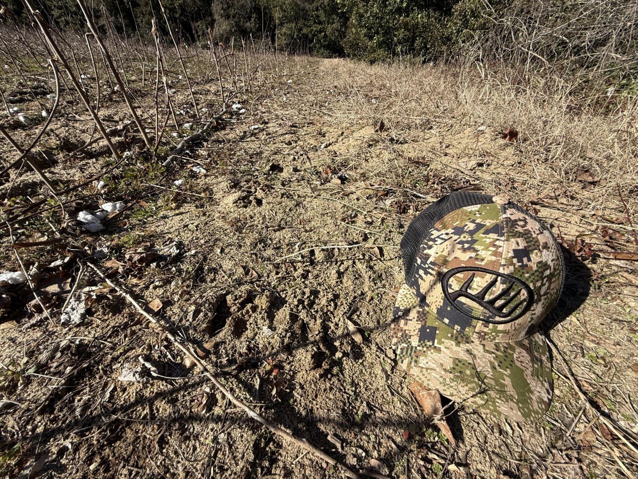 00 Barnwell St Photo 22