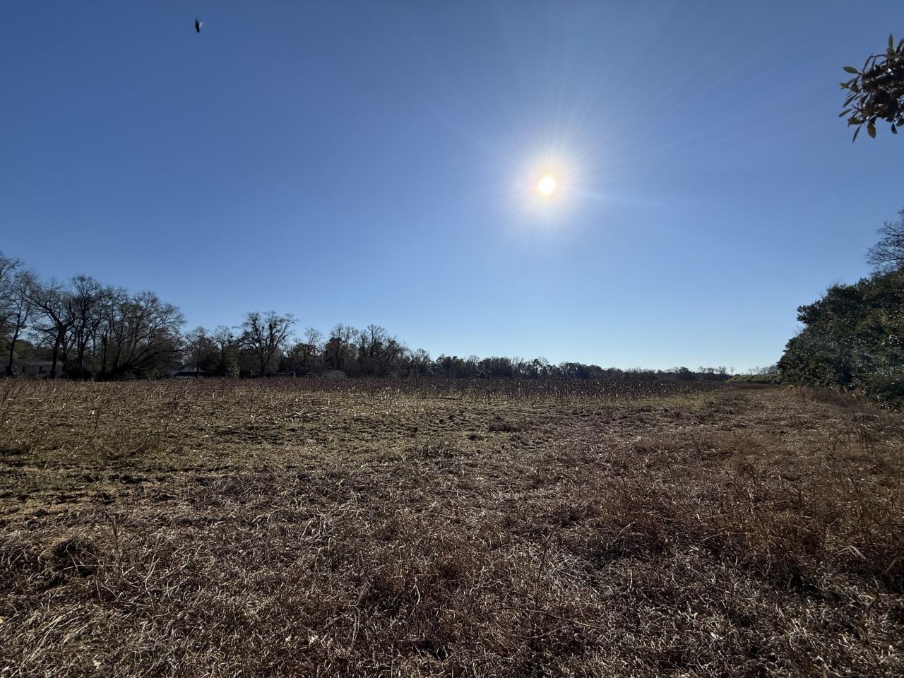 00 Barnwell St Photo 23