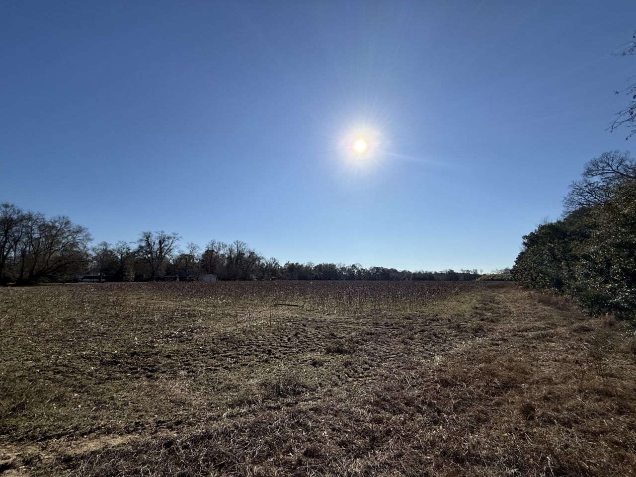 00 Barnwell St Photo 24