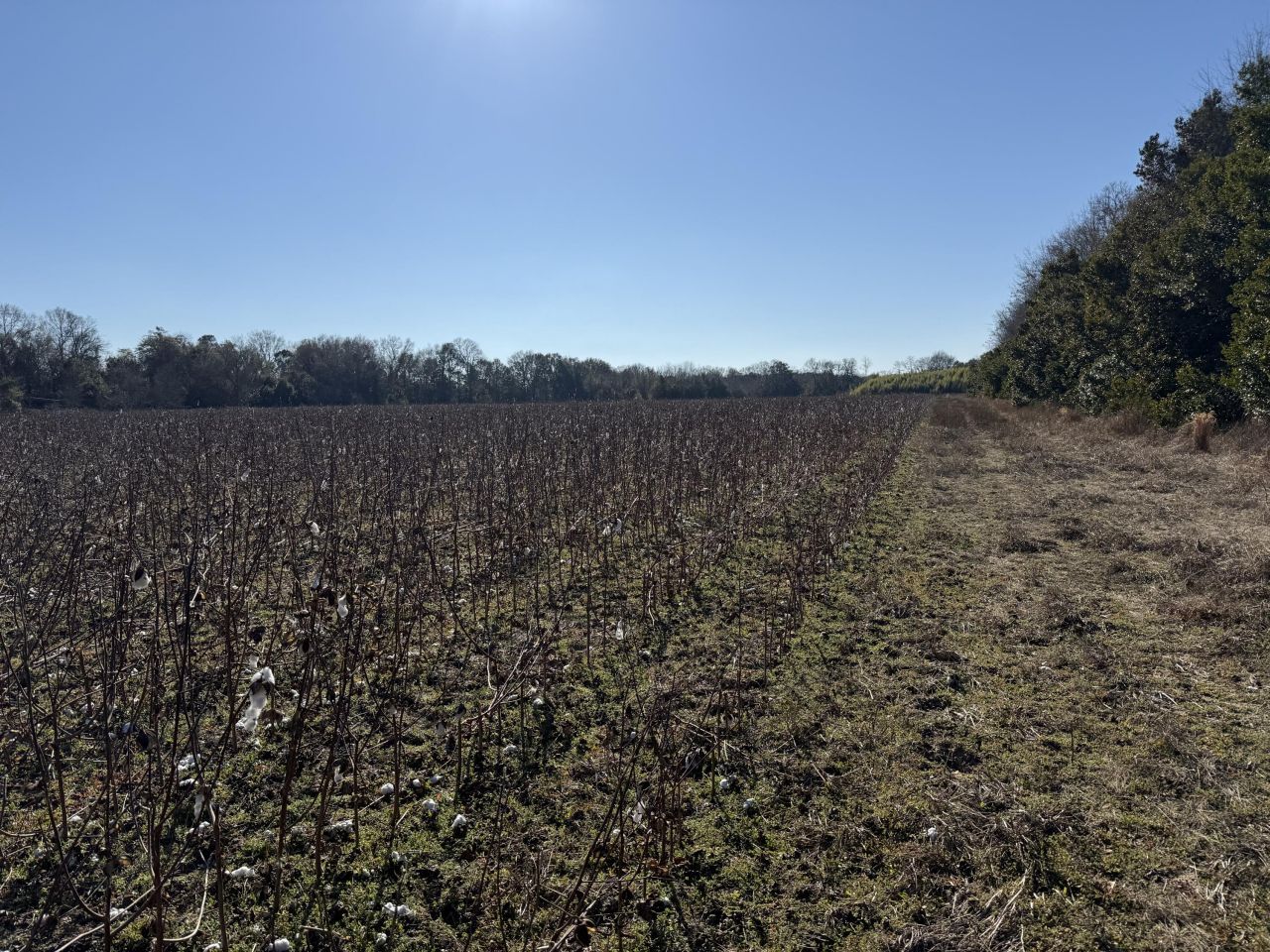 00 Barnwell St Photo 25