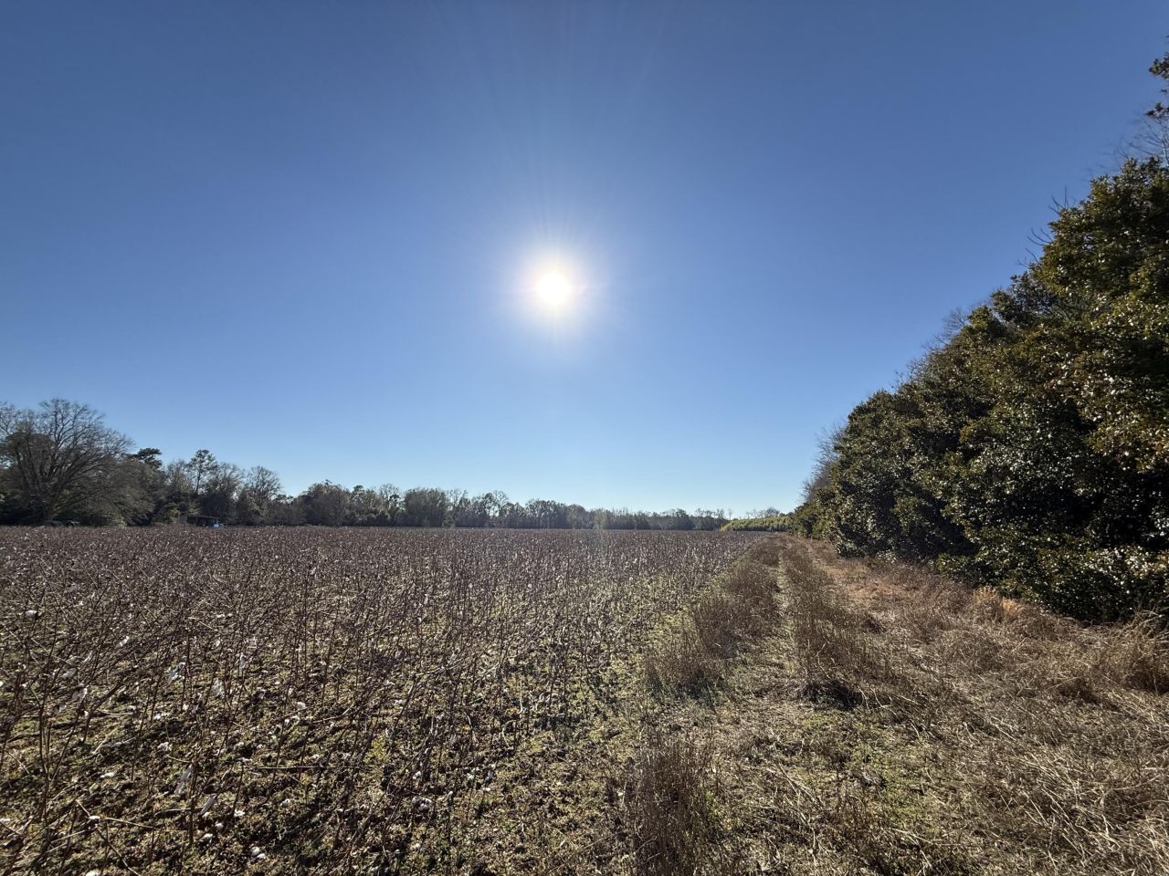 00 Barnwell St Photo 27