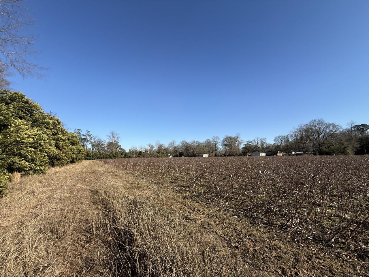 00 Barnwell St Photo 28