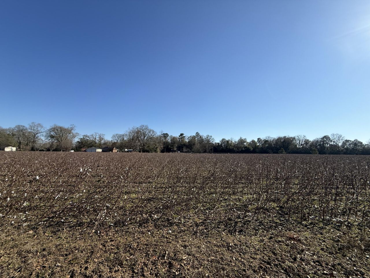 00 Barnwell St Photo 30