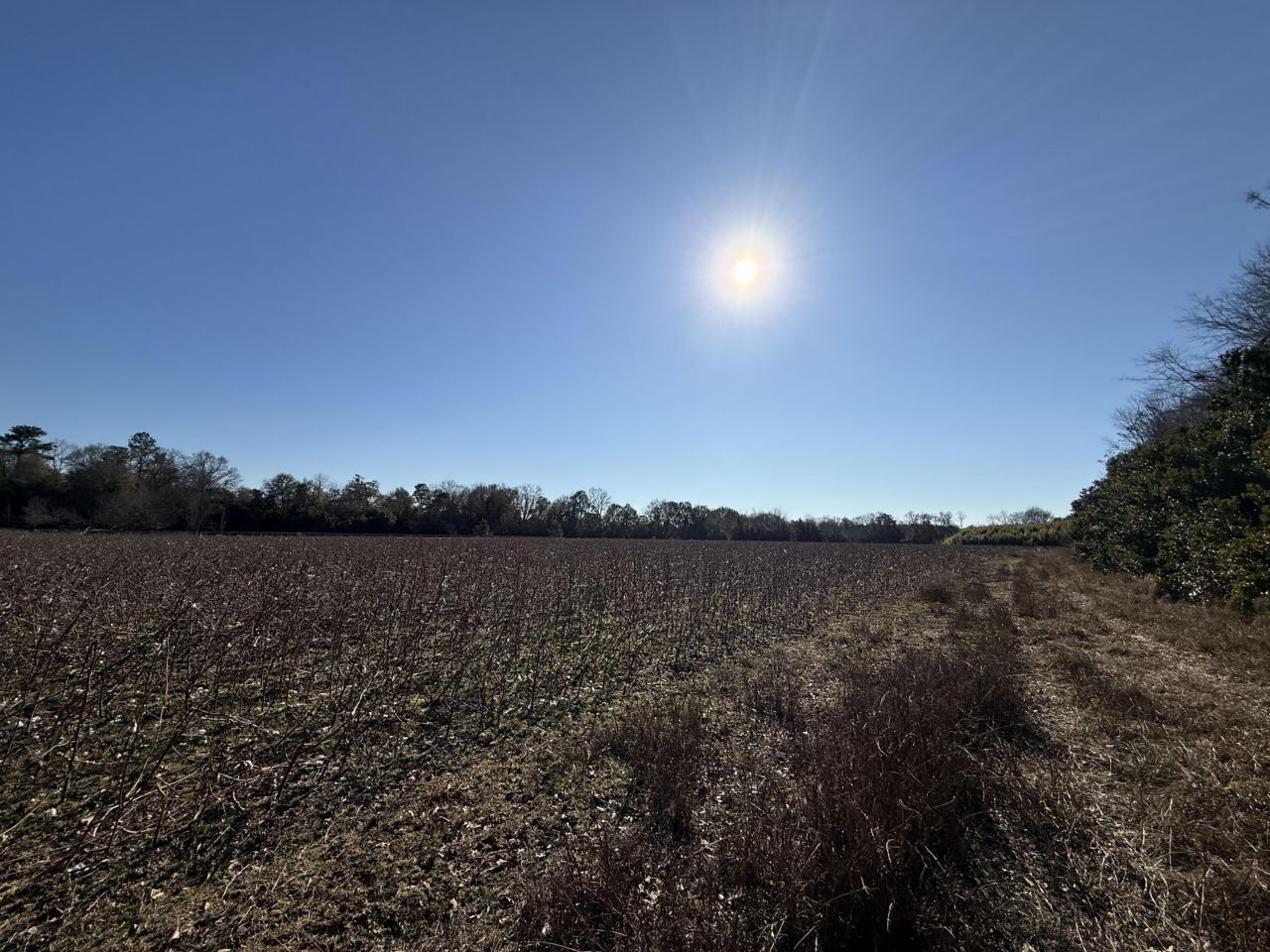 00 Barnwell St Photo 31