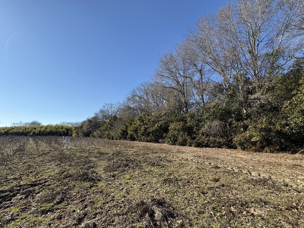 00 Barnwell St Photo 32