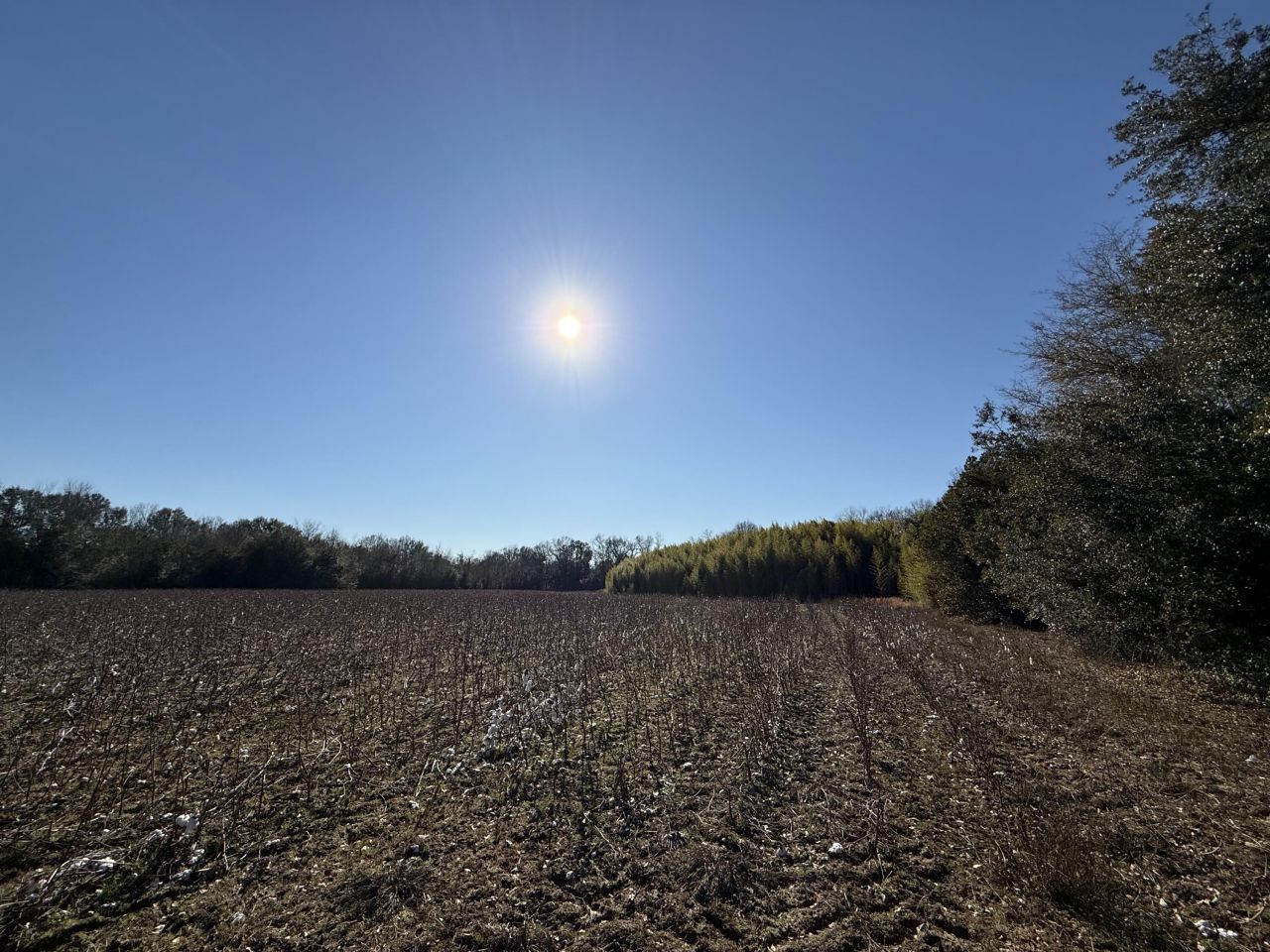 00 Barnwell St Photo 33