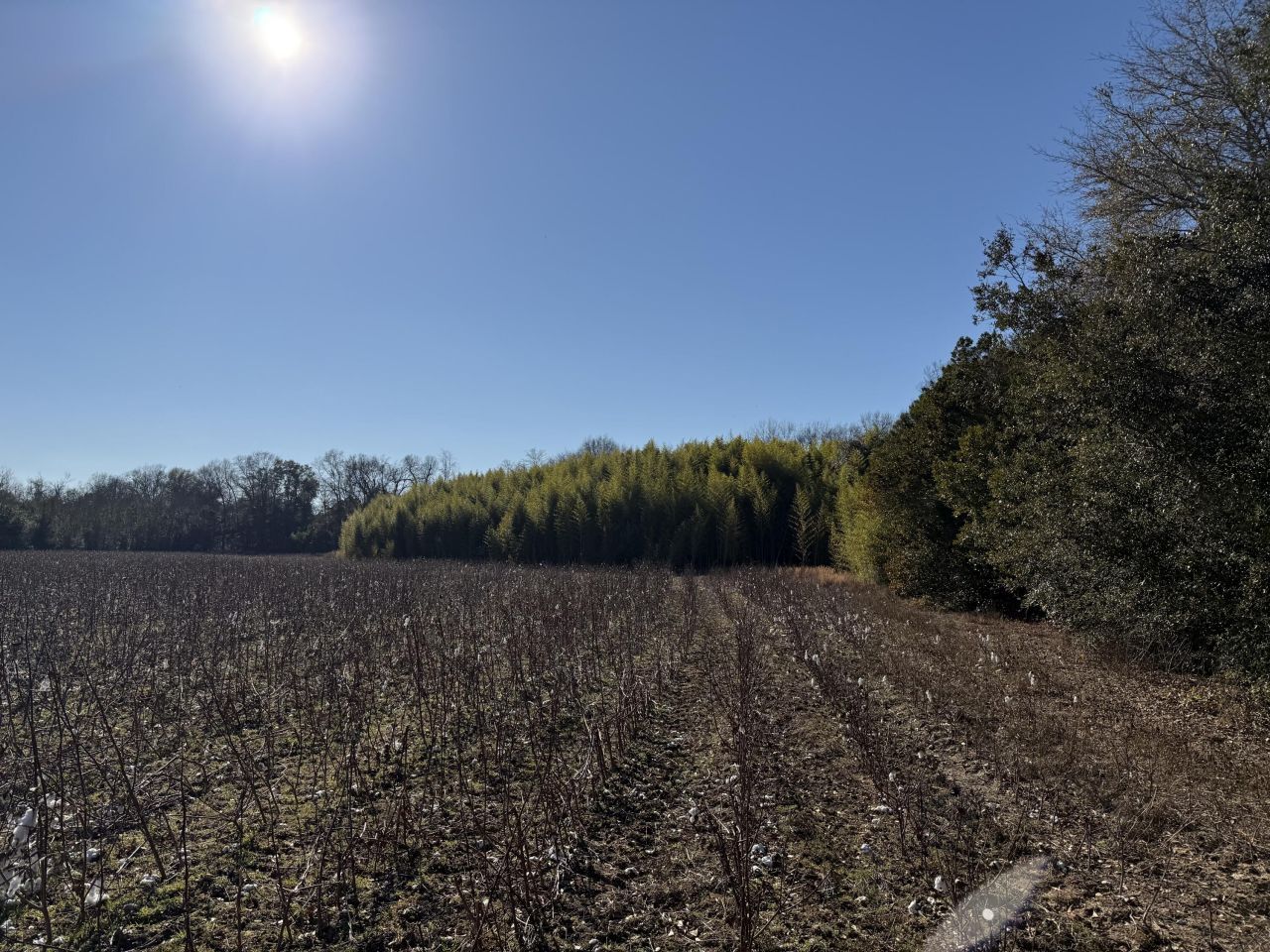 00 Barnwell St Photo 34