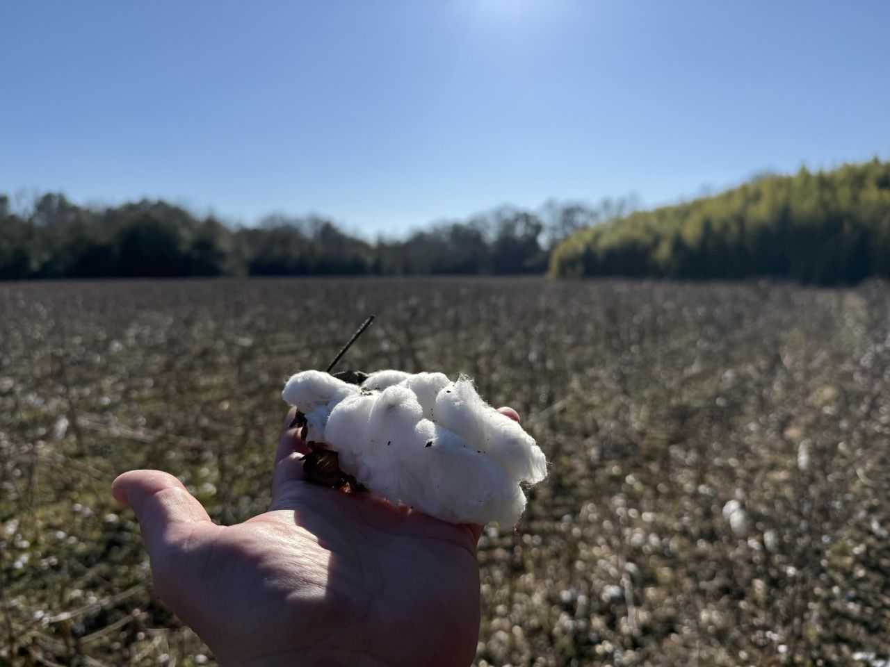 00 Barnwell St Photo 35