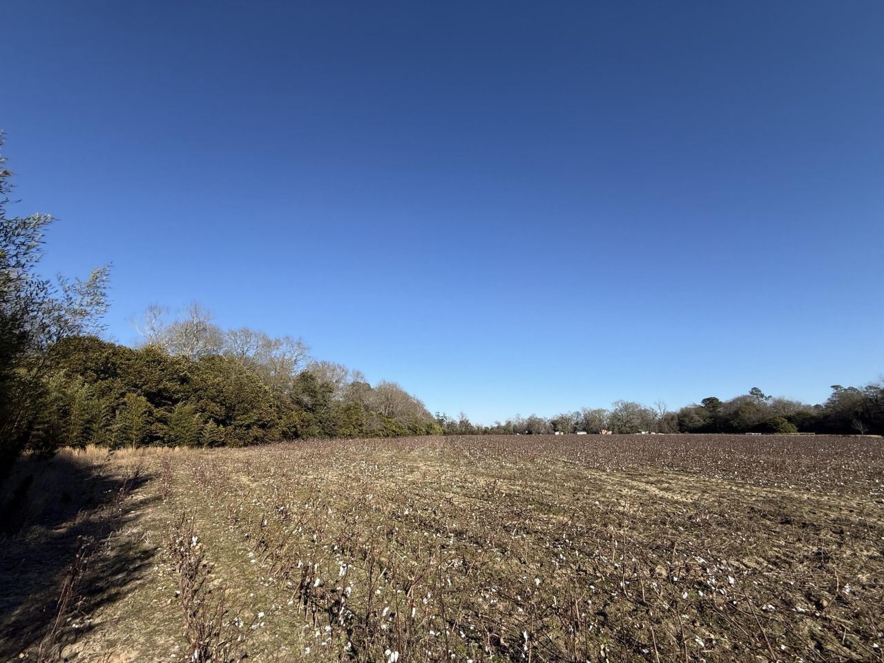 00 Barnwell St Photo 36