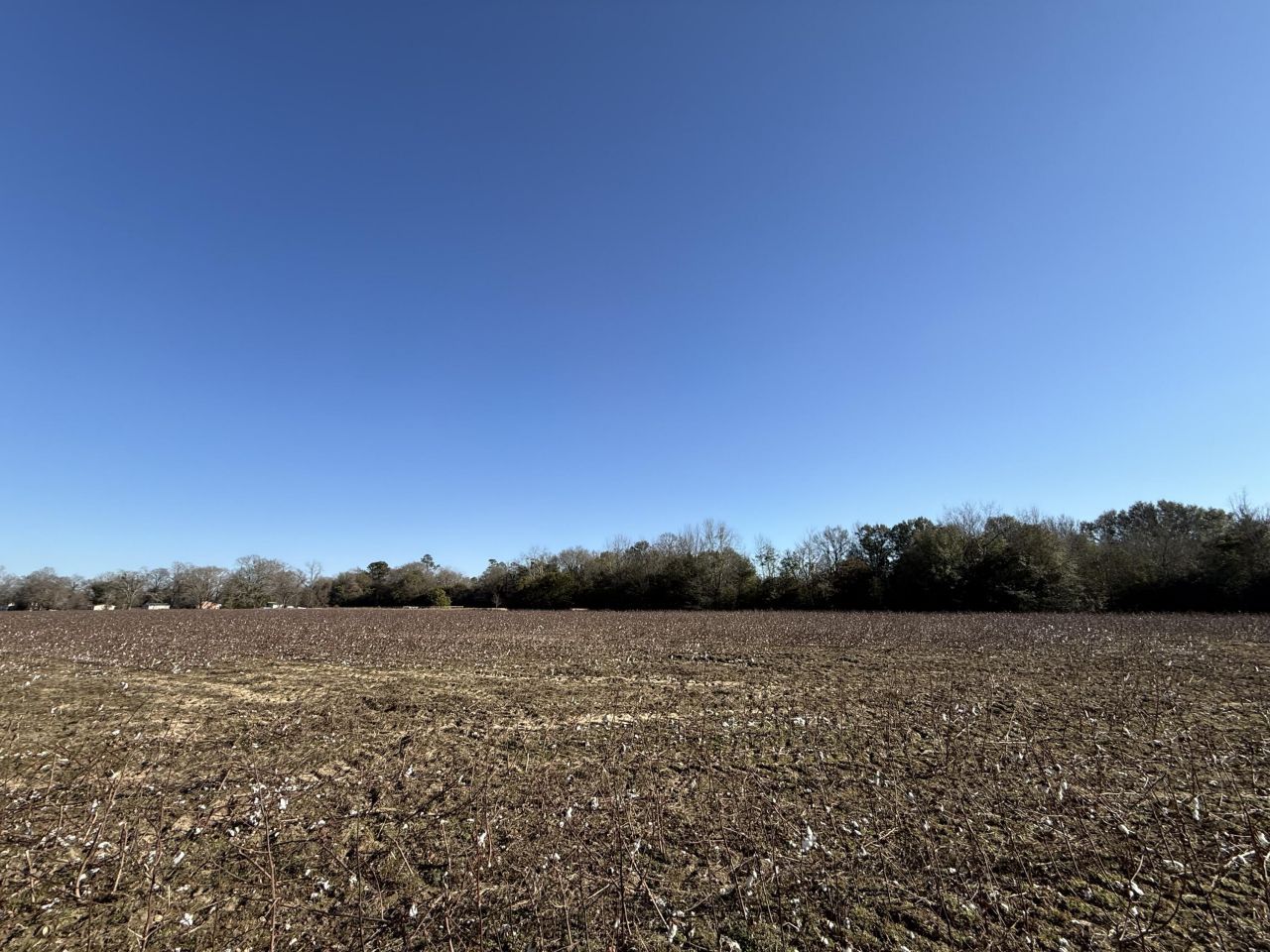 00 Barnwell St Photo 37