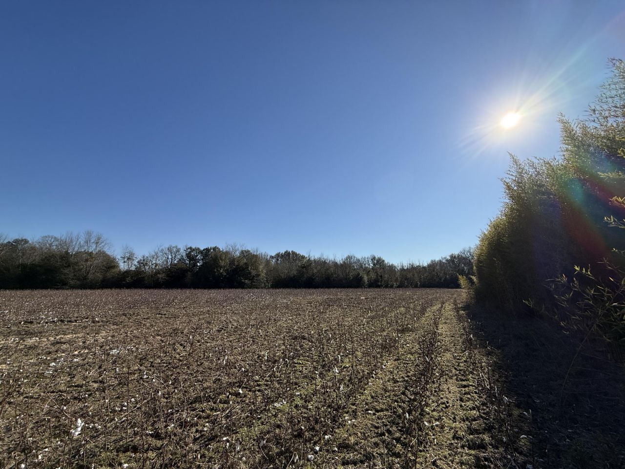 00 Barnwell St Photo 38