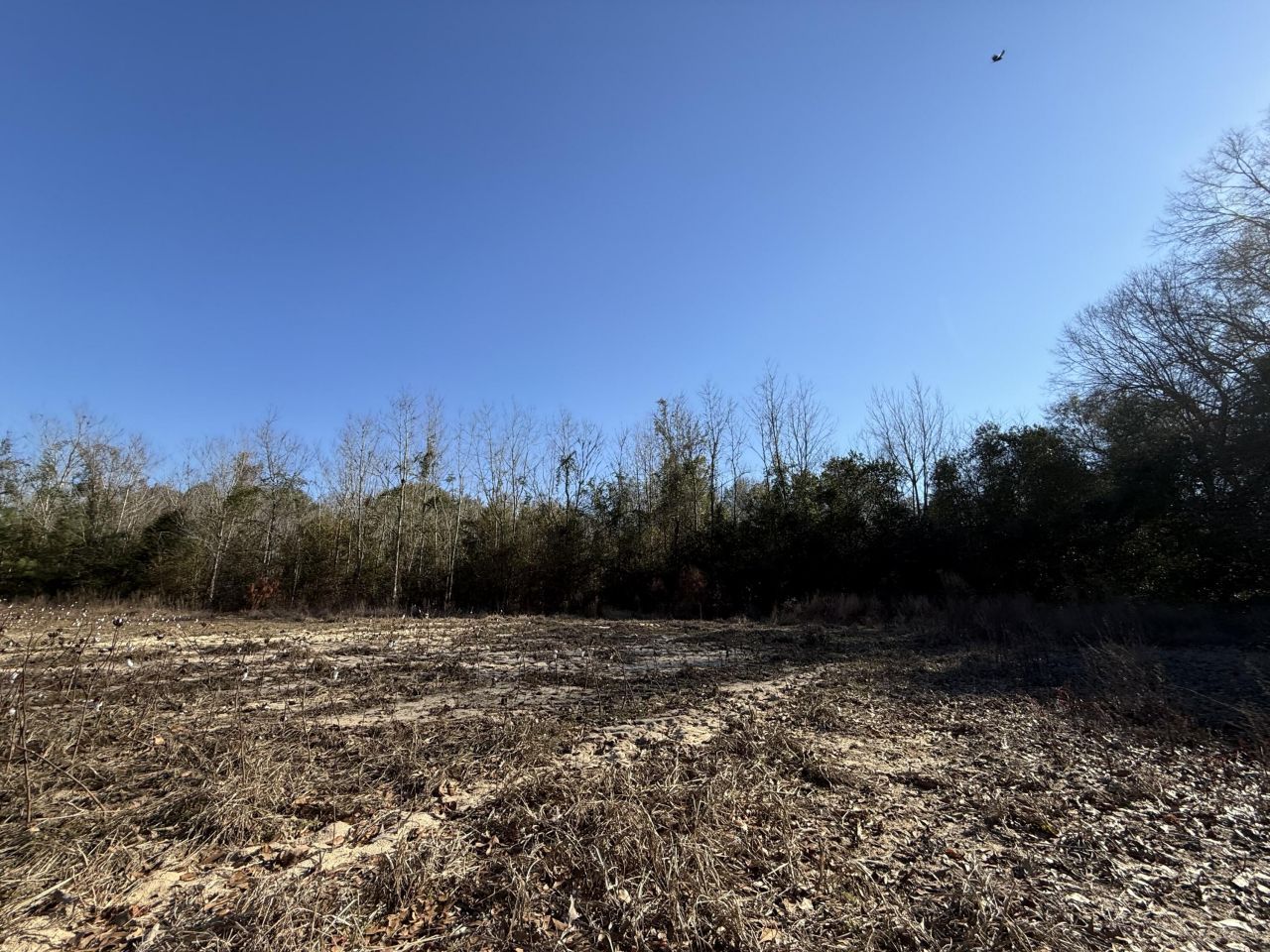 00 Barnwell St Photo 39