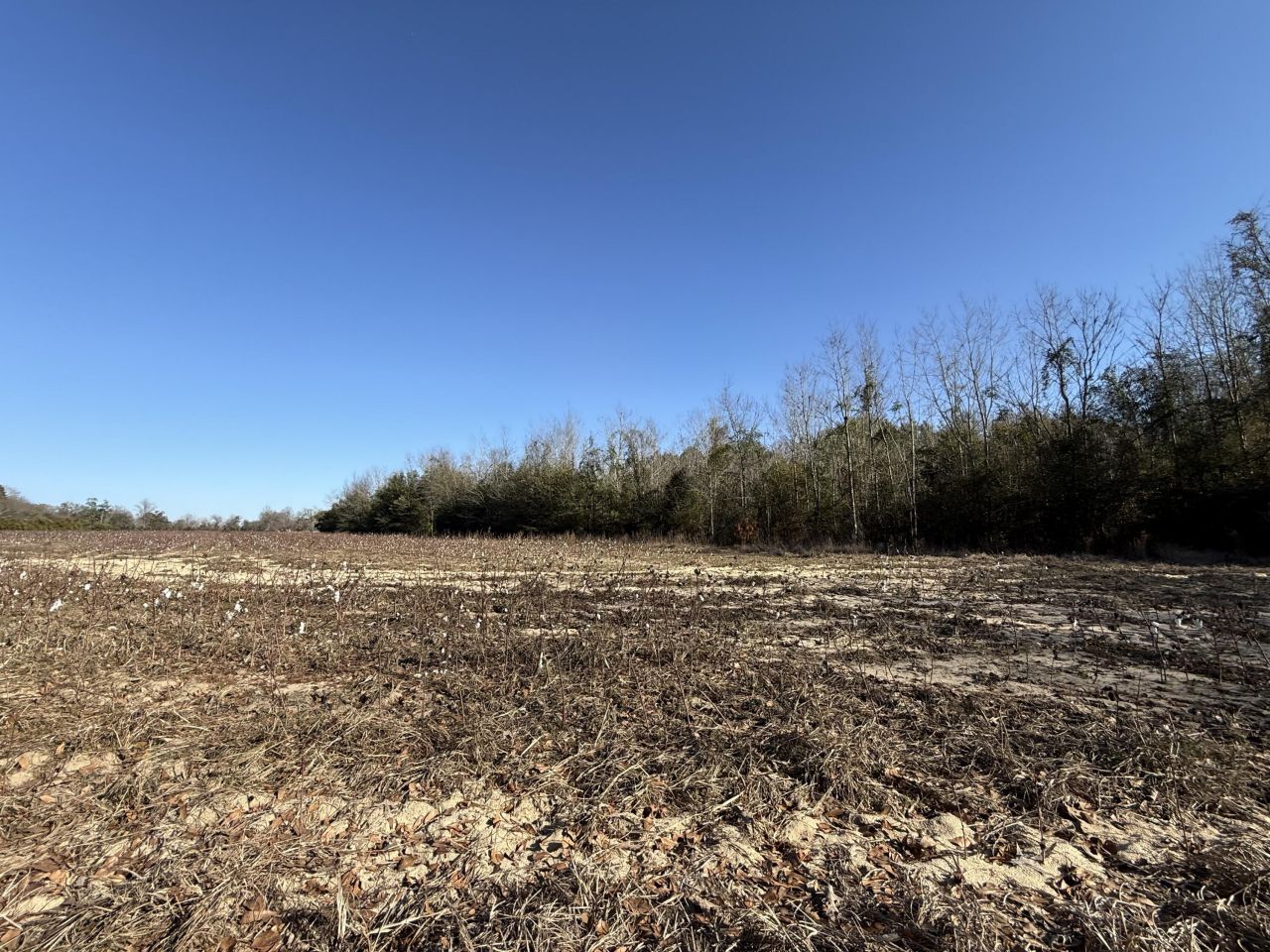 00 Barnwell St Photo 40