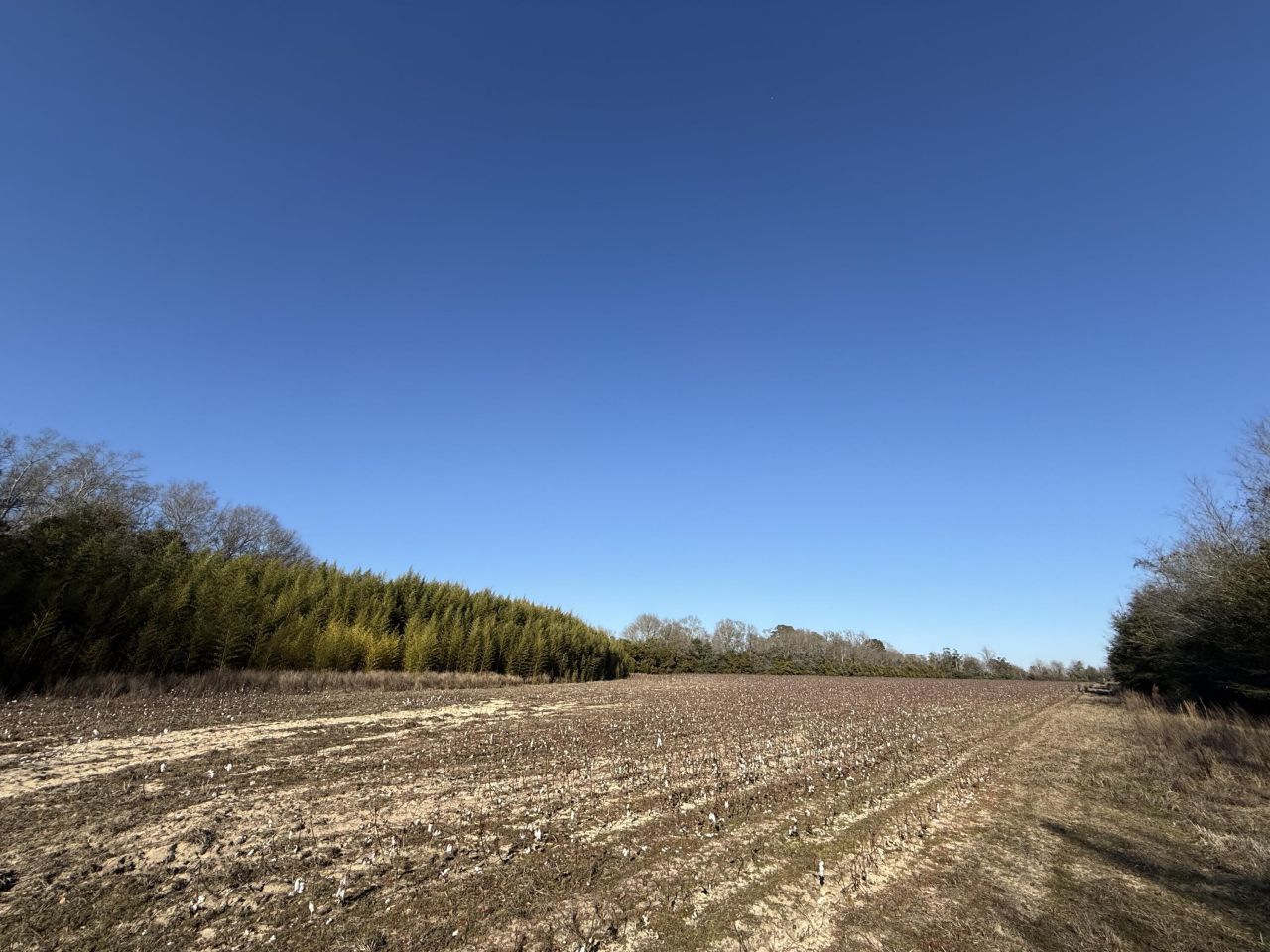 00 Barnwell St Photo 41