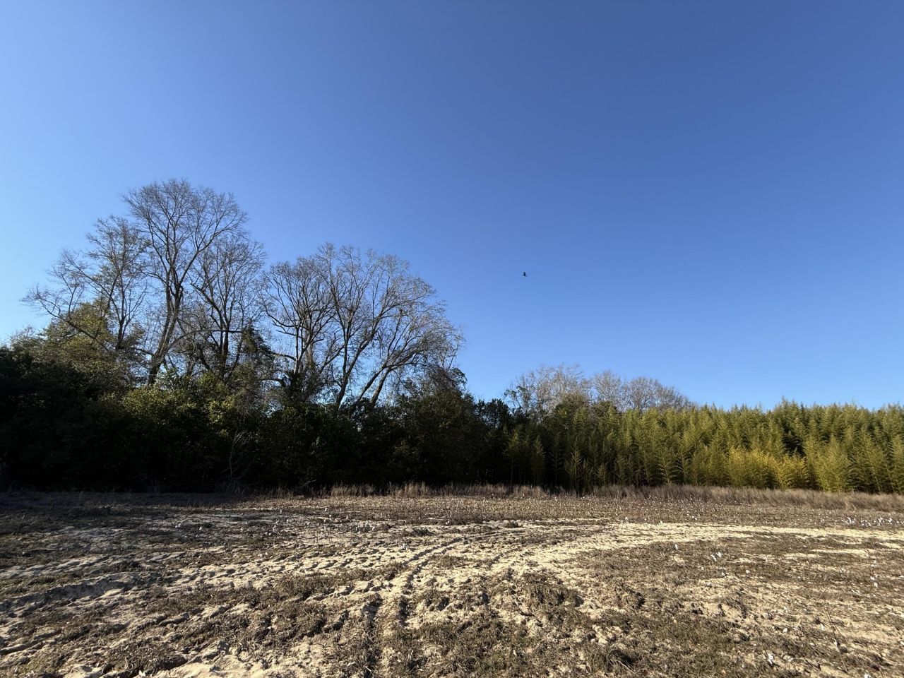 00 Barnwell St Photo 42