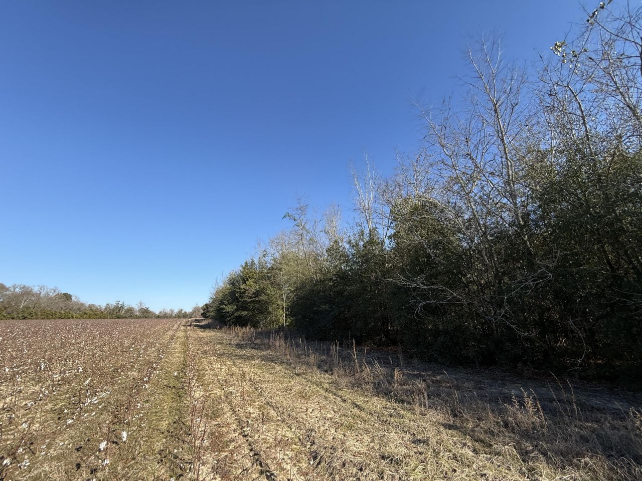 00 Barnwell St Photo 43