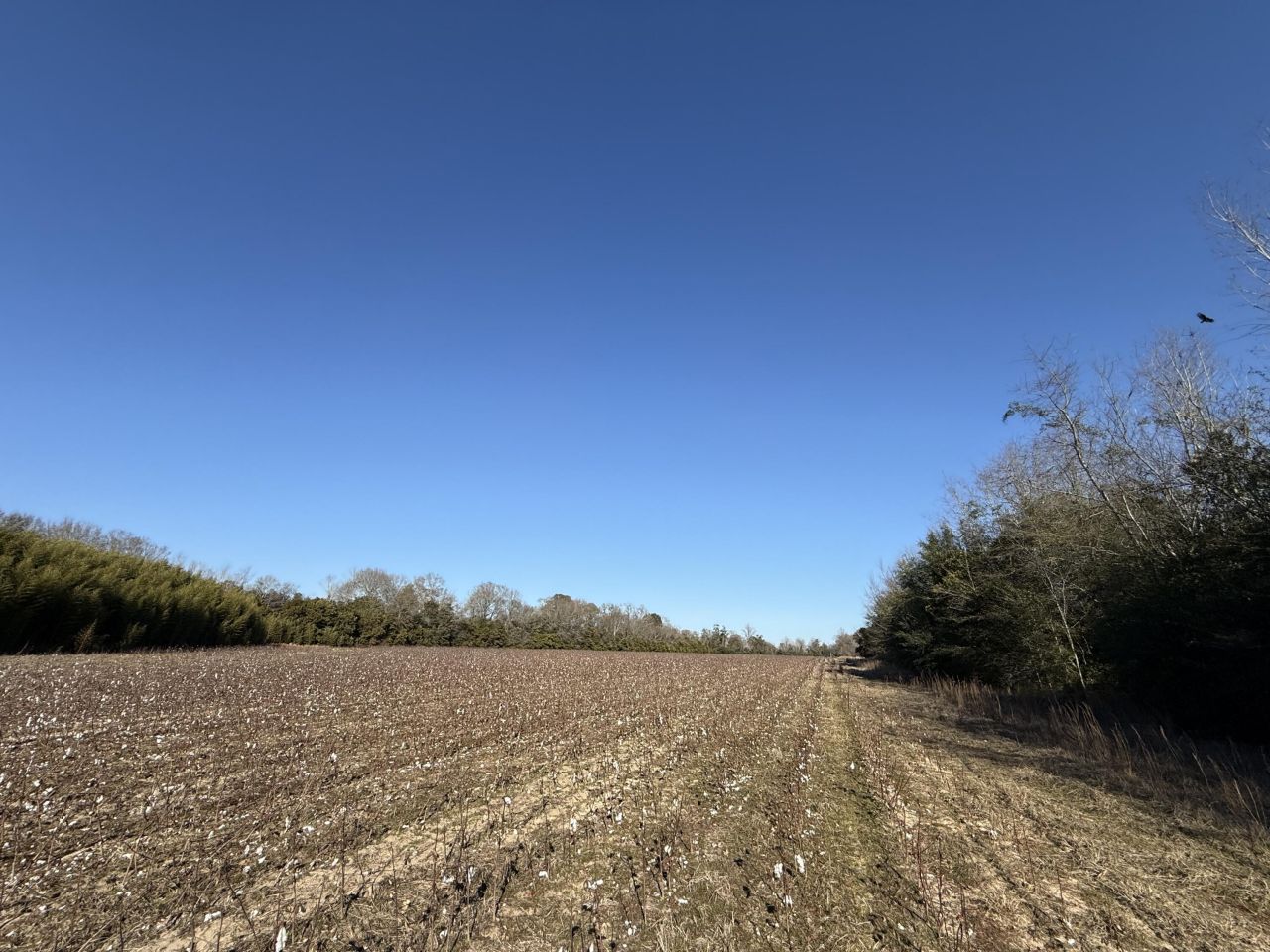 00 Barnwell St Photo 44