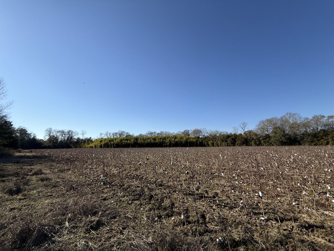 00 Barnwell St Photo 46