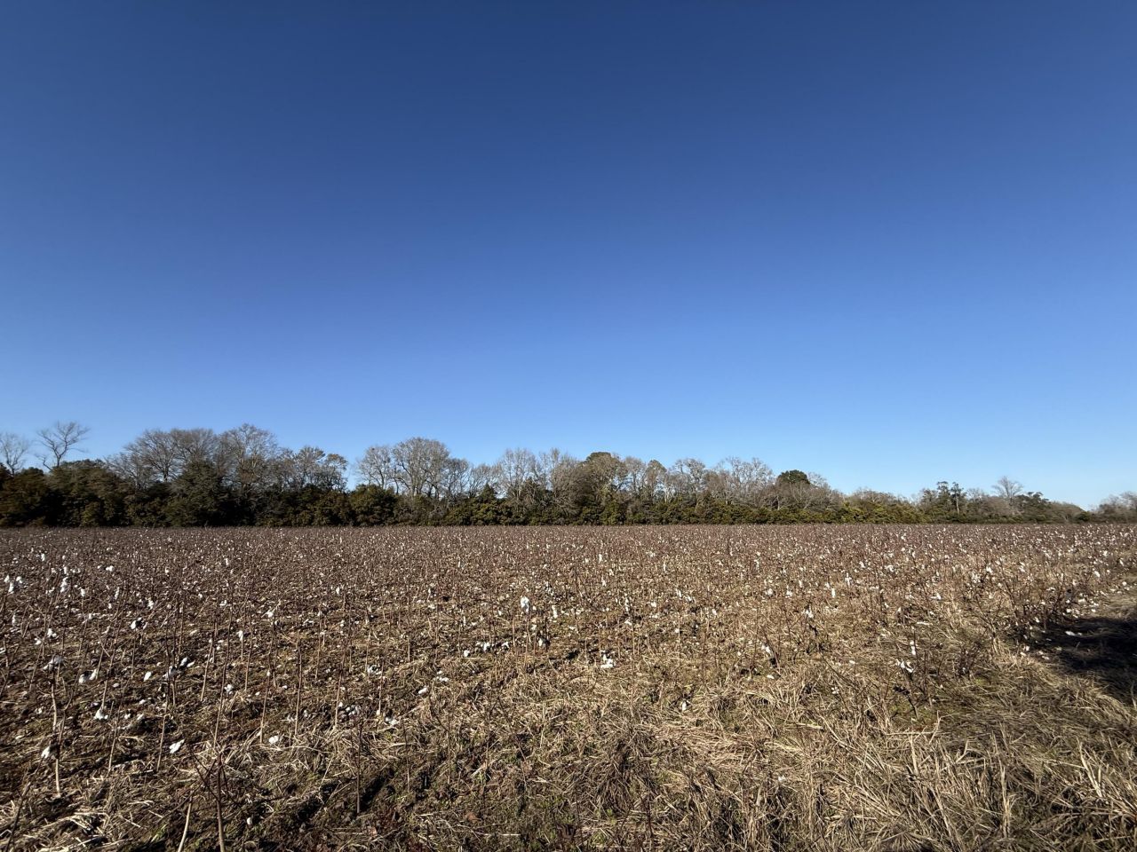 00 Barnwell St Photo 47