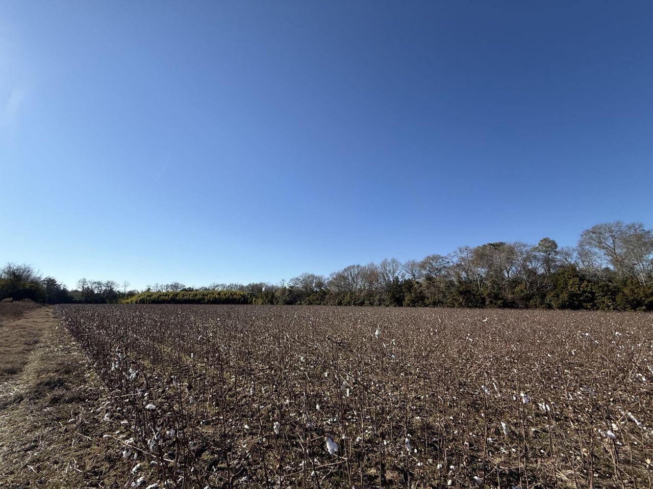 00 Barnwell St Photo 48