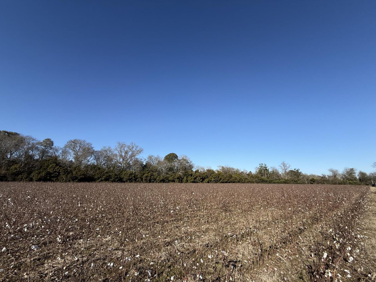 00 Barnwell St Photo 49