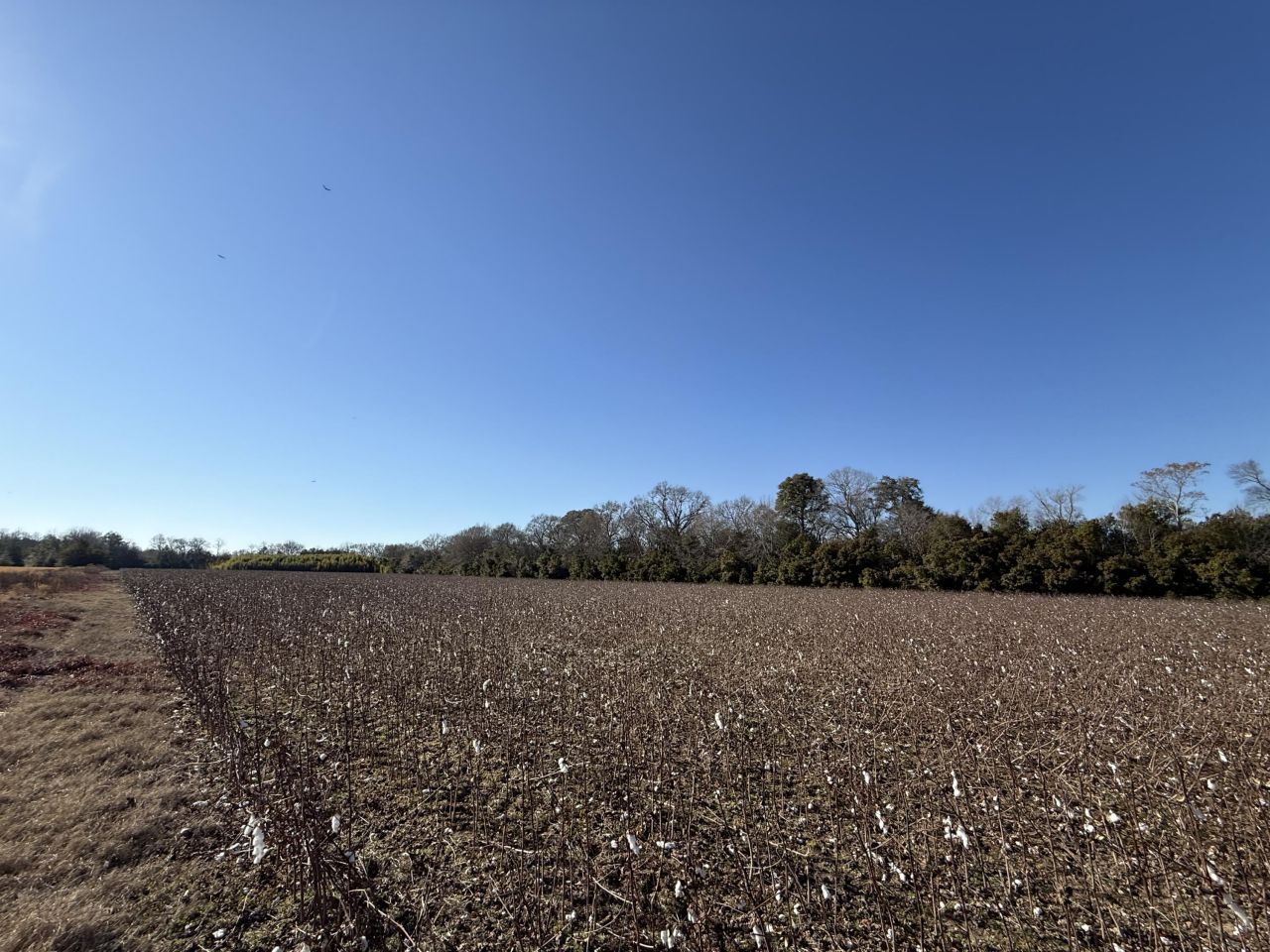 00 Barnwell St Photo 50