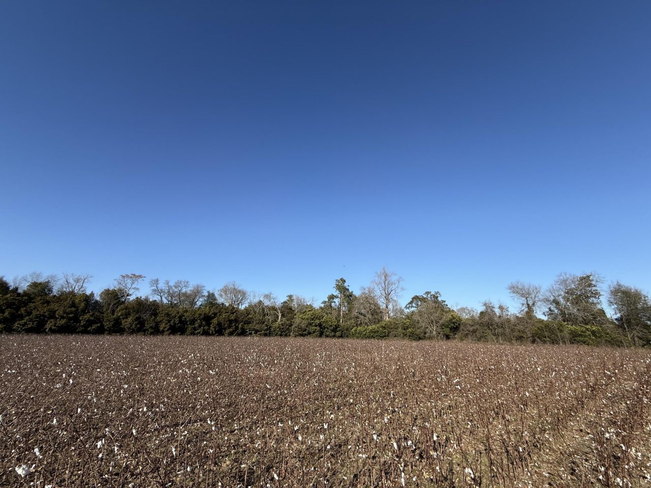 00 Barnwell St Photo 51