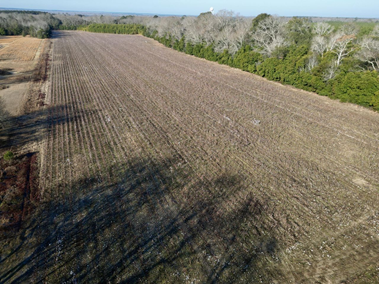 00 Barnwell St Photo 7