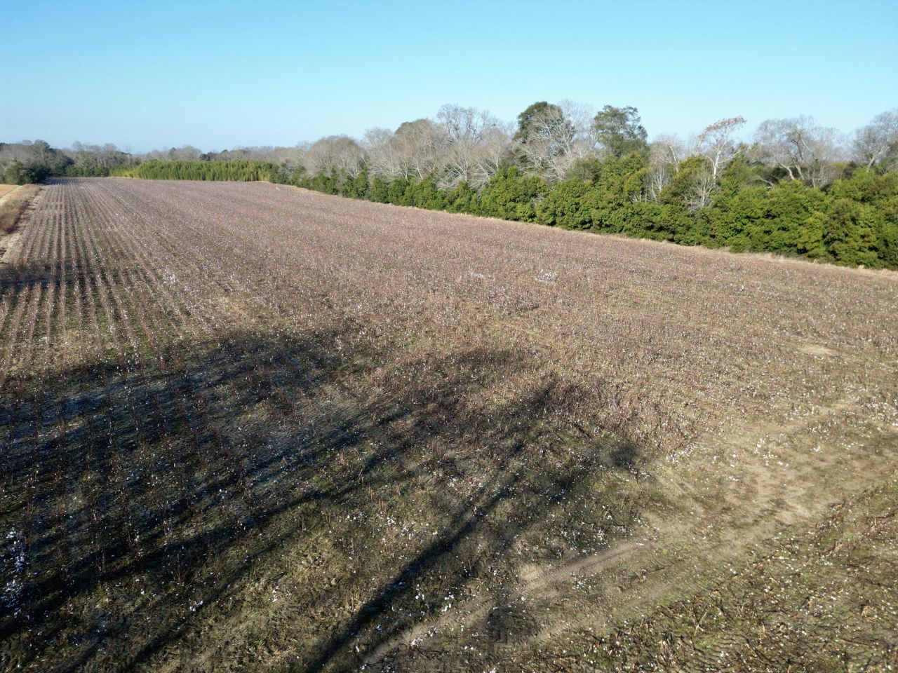 00 Barnwell St Photo 8