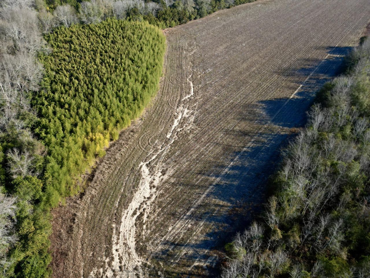 00 Barnwell St Photo 9