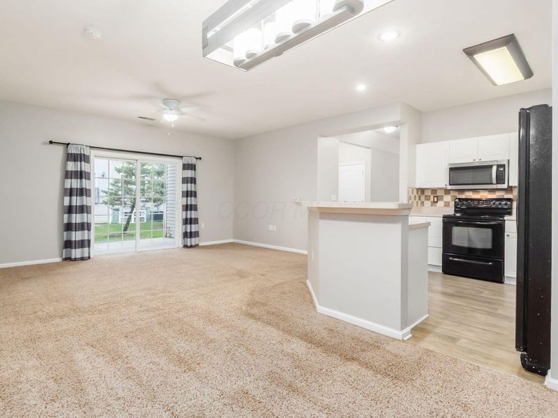 669 Spring Valley Drive, Lewis Center, OH 43035 Photo 19