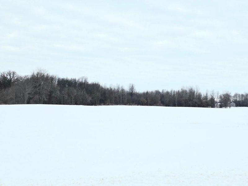 0001 County Road 123 , Mount Gilead, OH 43338 Photo 4