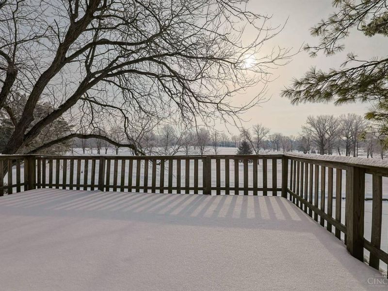 37 Carpenters Run, Cincinnati, OH 45241 Photo 47