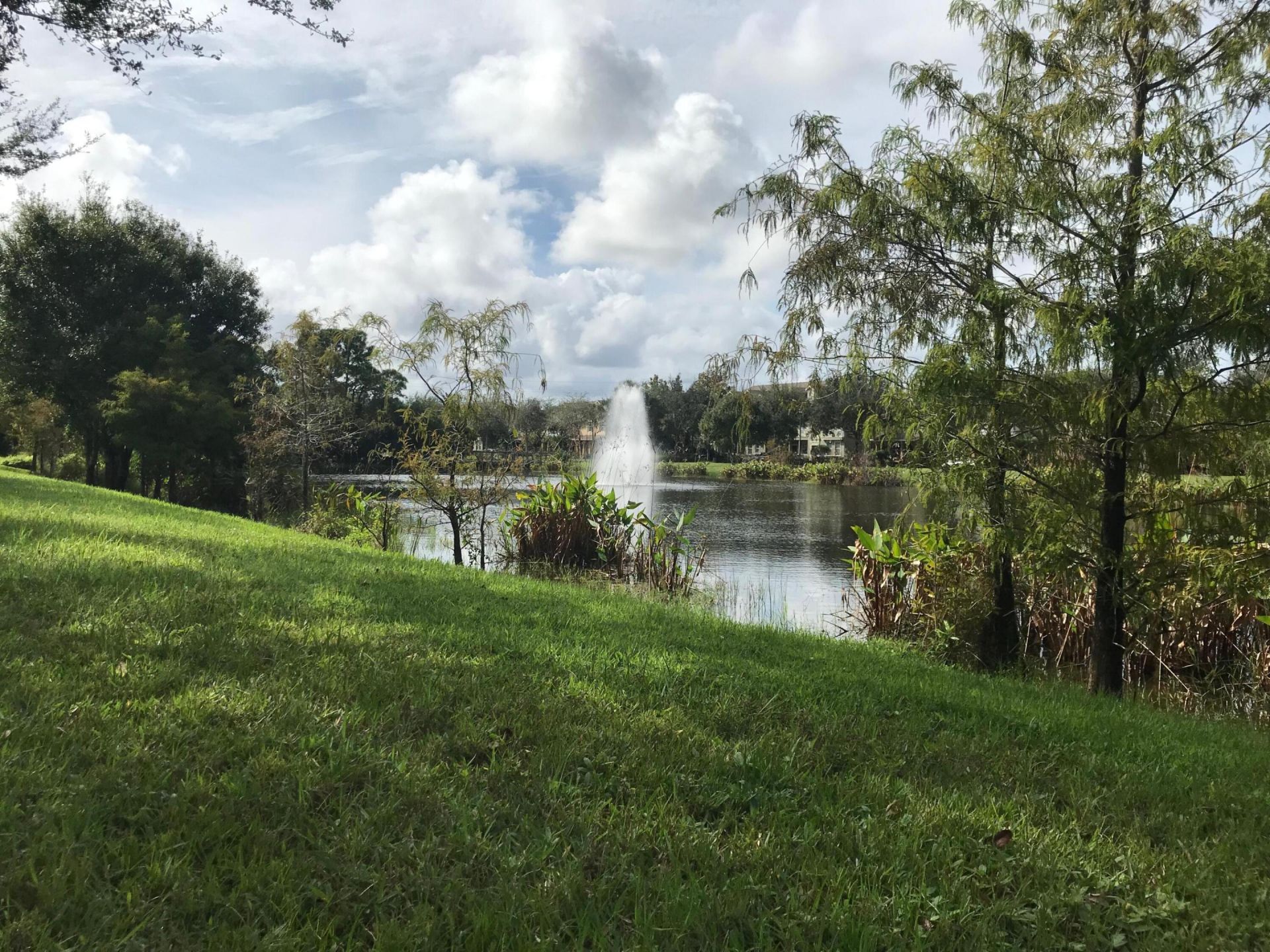 141 E Thatch Palm Circle, Jupiter, FL 33458 Photo