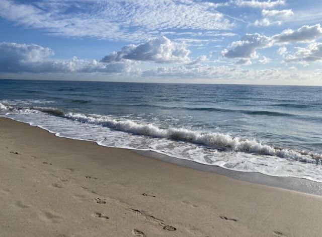 1500 S Ocean Boulevard, Unit 608, Lauderdale by the Sea, FL 33062 Photo